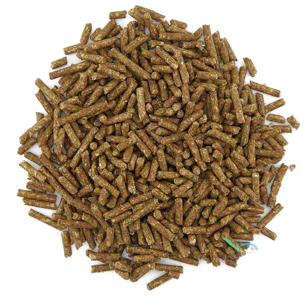 Aquarium Munster Dr. Bassleer Shrimp Sticks Chlorella per gamberetti 100ml 60g