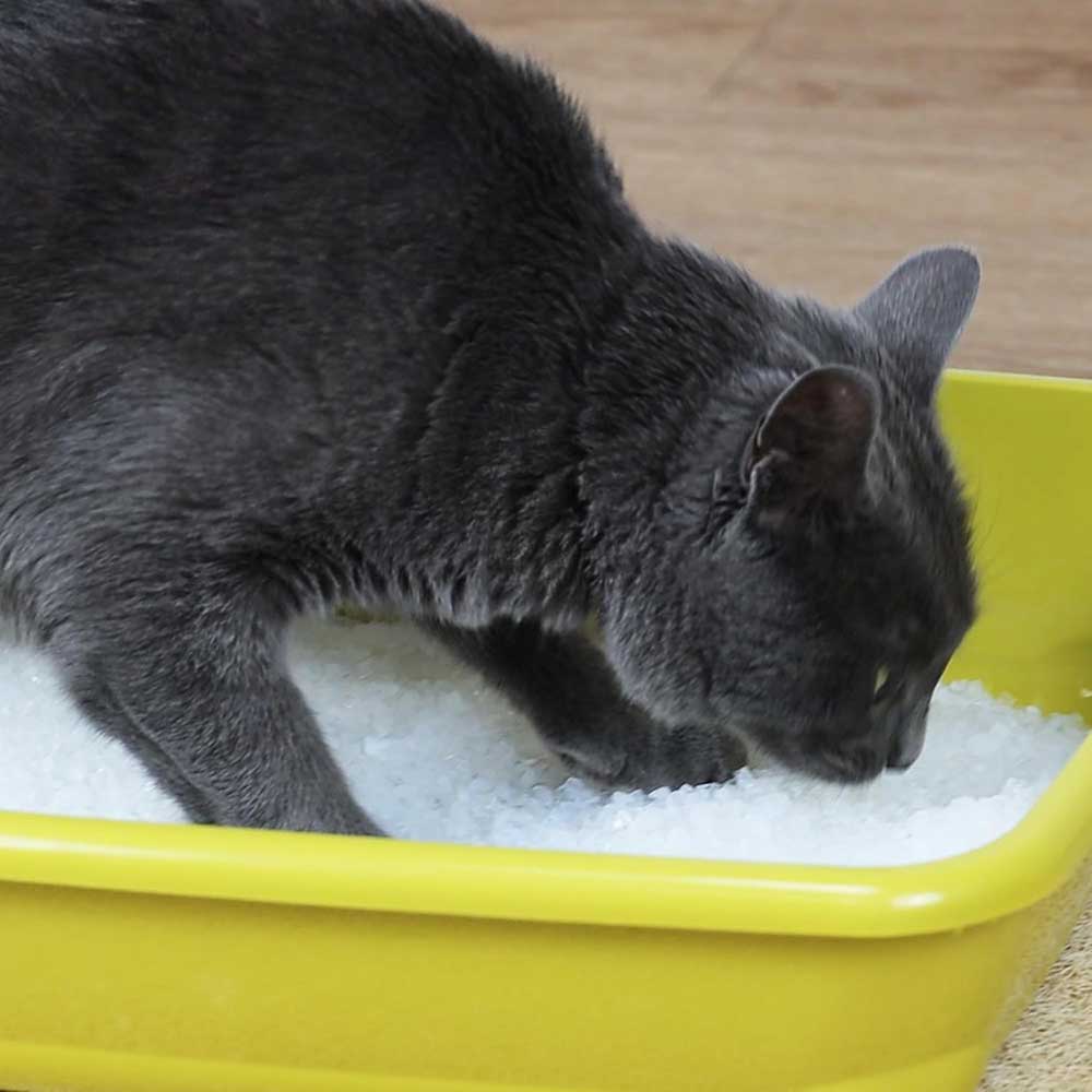 Croci Easy Clean Lettiera Igenica al Silicio per Gatti 15Lt
