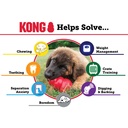 Kong Classic Medium Gioco per Cani