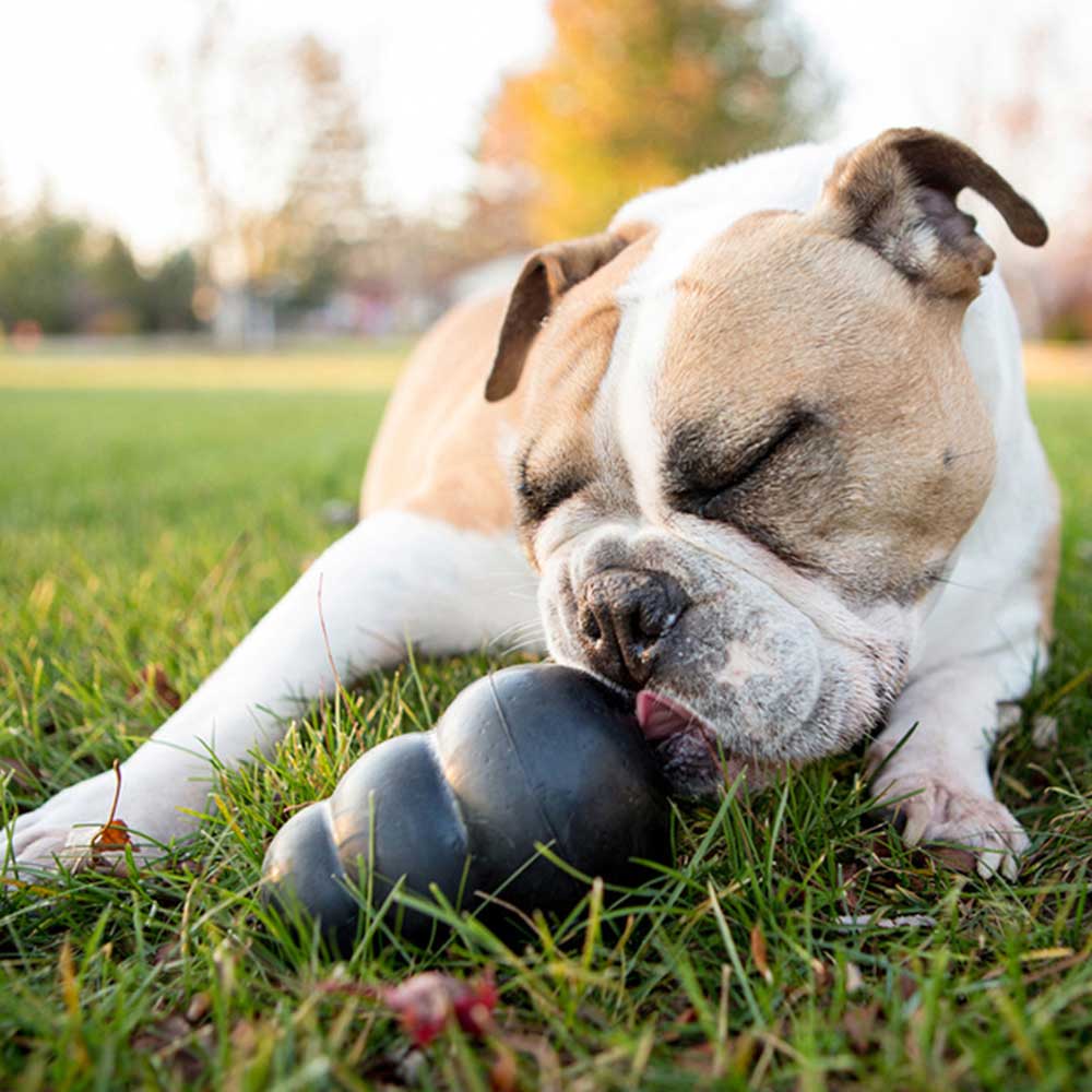 Kong Extreme Large Gioco per Cani 13-30Kg