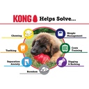 Kong Extreme Large Gioco per Cani 13-30Kg