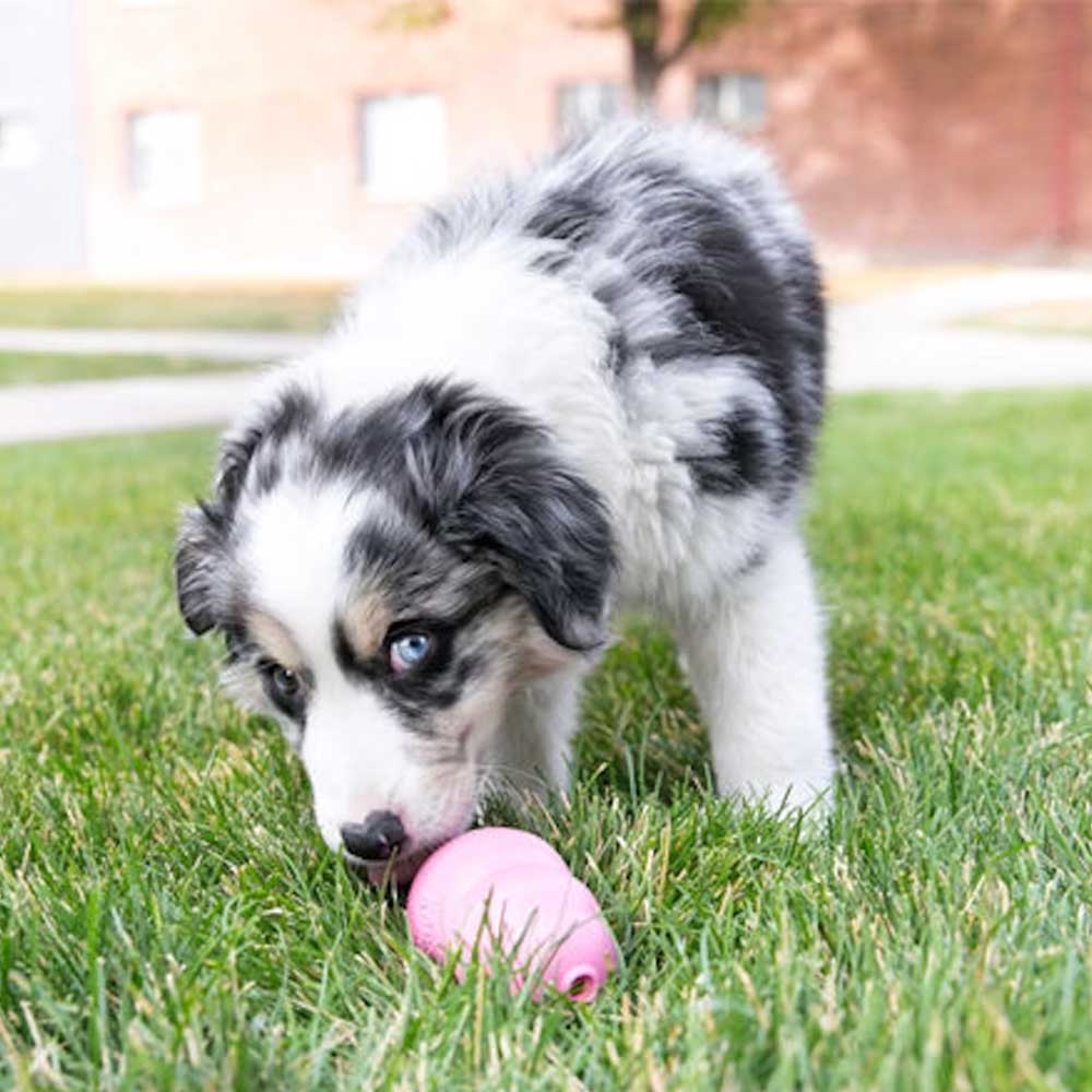 Kong Puppy Medium Gioco per Cani Rosa 7-16Kg