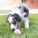 Kong Puppy Medium Gioco per Cani Rosa 7-16Kg
