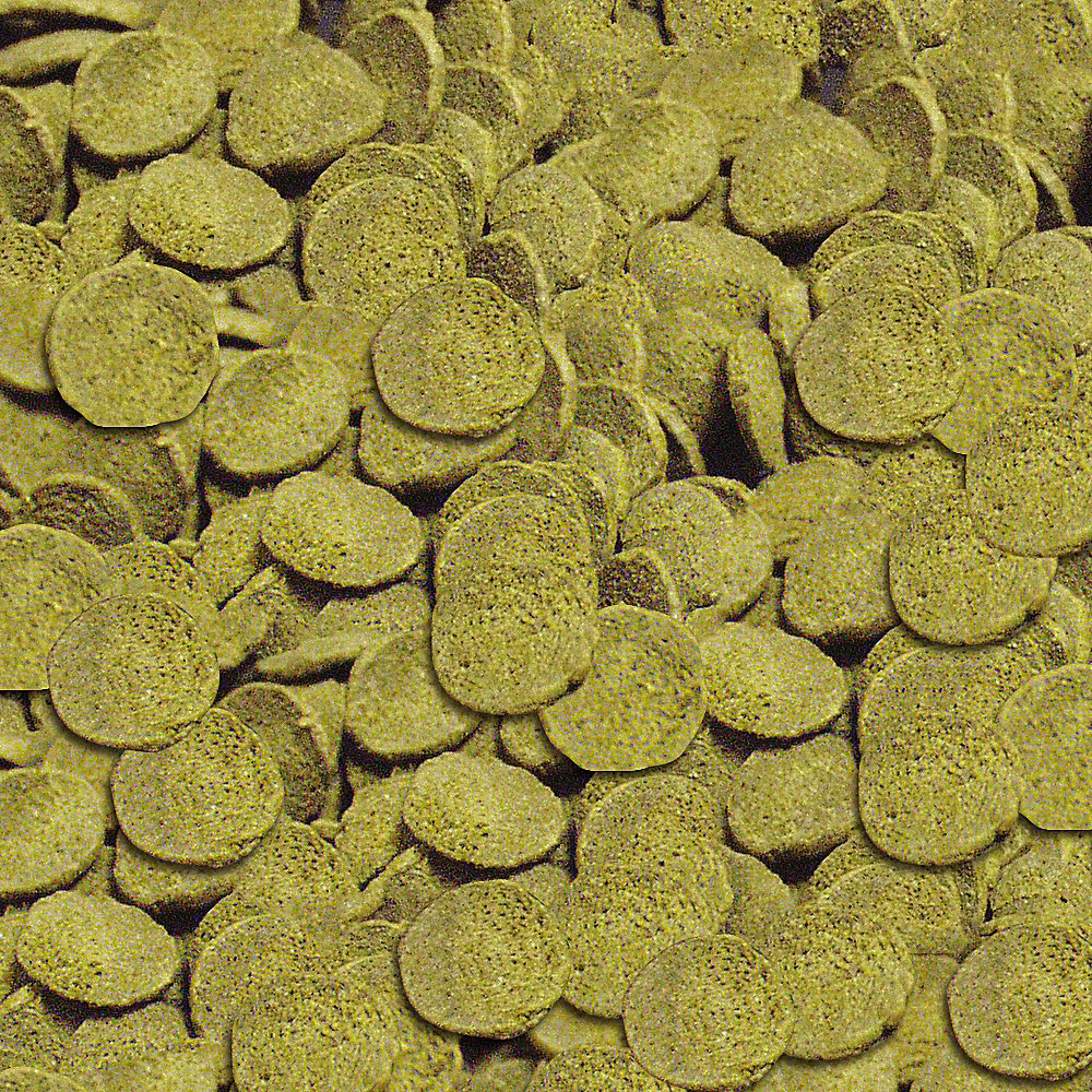 Sera Pleco Chips Nature Mangime per Loricaridi 100ml 95g