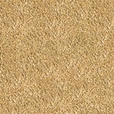 Sera Betta Granules Mangime per Betta 50ml 24gr