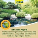 Tetra Pond AlgoFin Antialghe per Laghetto contro le alghe più comuni 500ml per 10000Lt