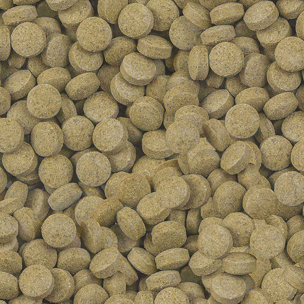 Viformo Pleco Tabs 100 ml D/F/NL/I RL
