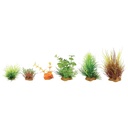 Zolux PlantKit Mini 3 Assortimento 6 piantine in plastica