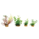 Zolux PlantKit Mini 2 Assortimento 4 piantine in plastica