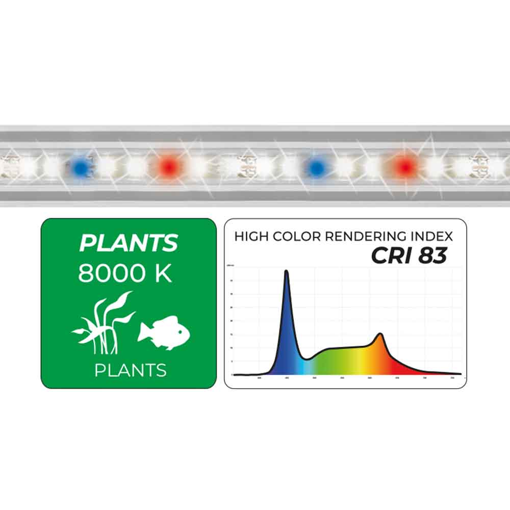Newa Led Slim Plant 278 Lampada estensibile per acquari da 295-365mm 8000K° 3.6W
