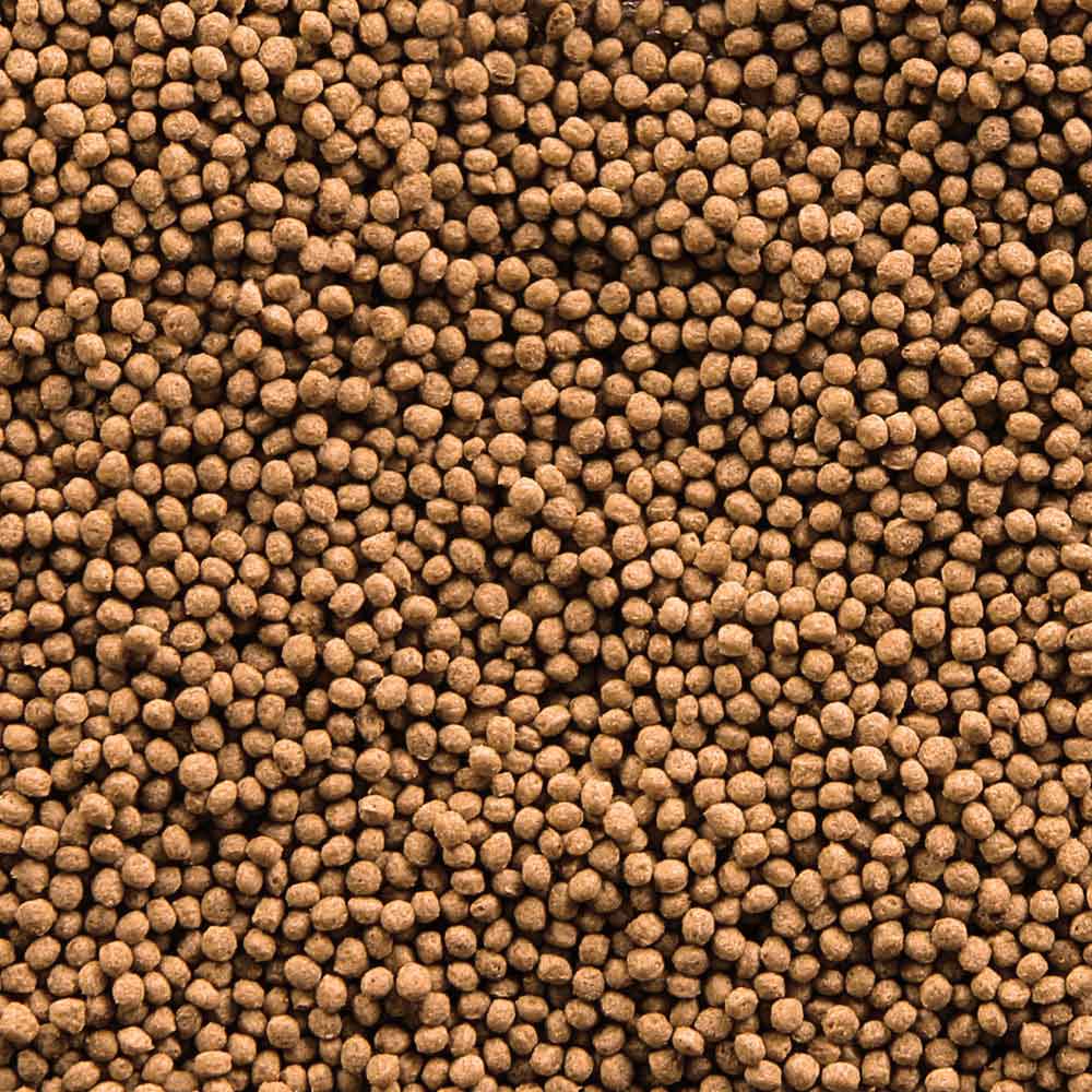 Sera Goldy Granules Nature per pesci rossi 250ml 75g