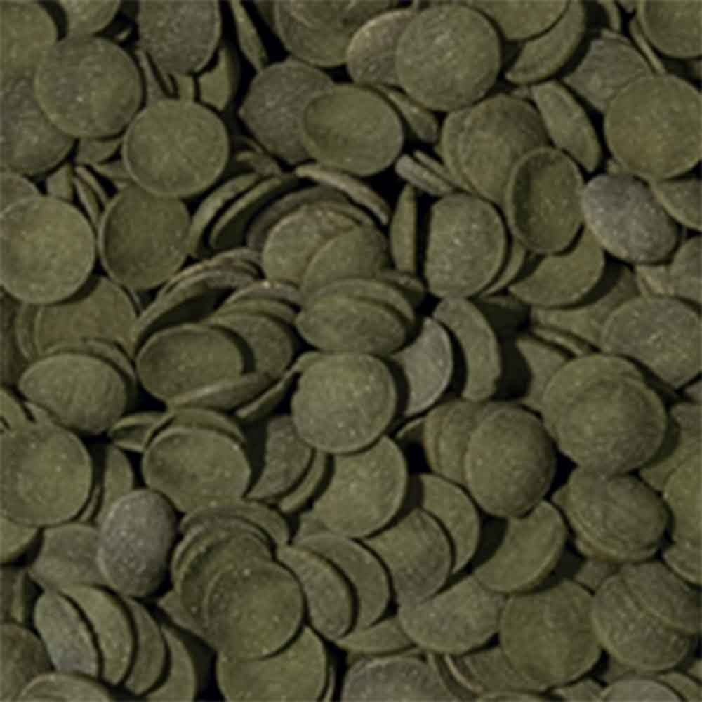 Tropical Green Algae Wafers 250ml 113gr