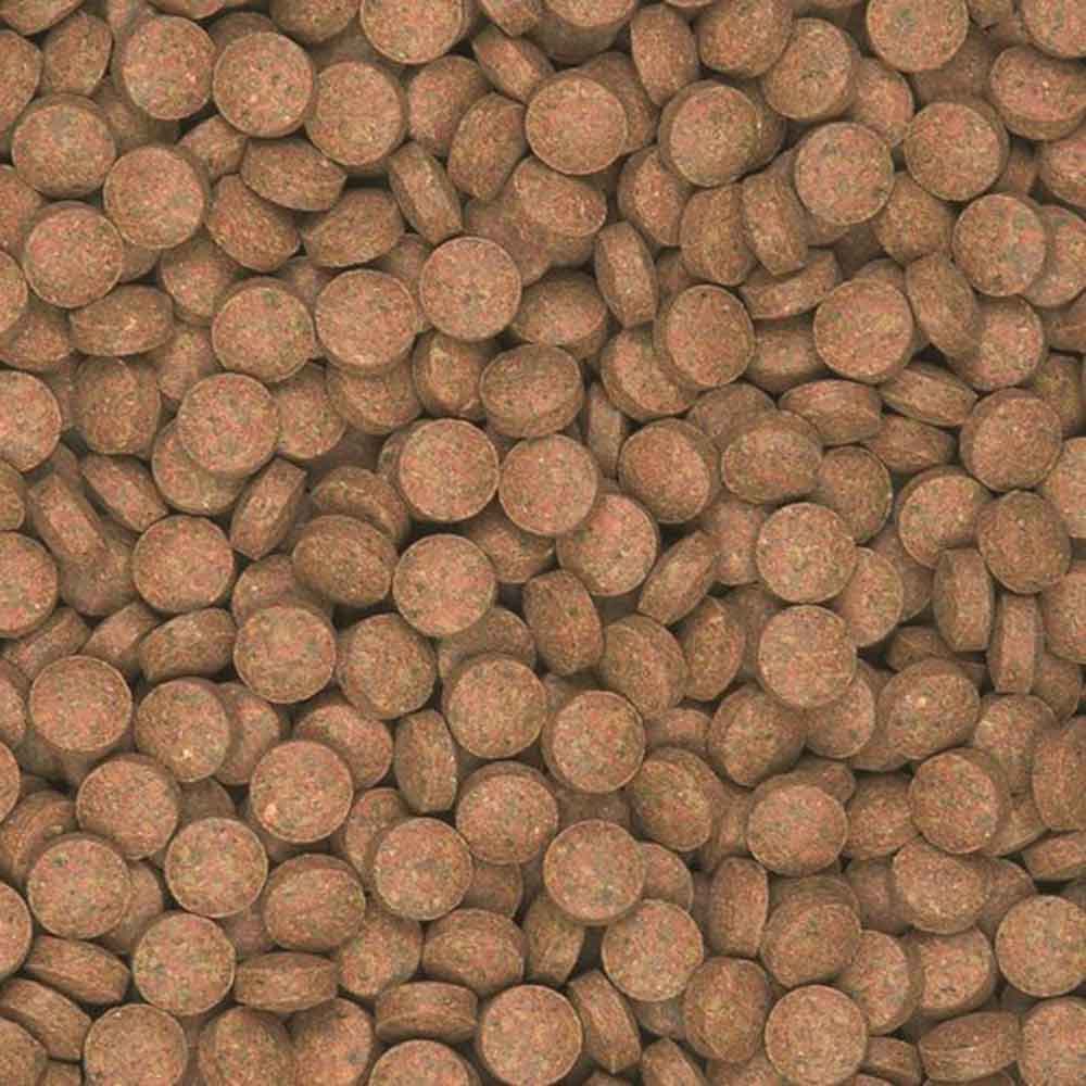 Tropical Supervit Tablets B