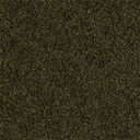 Tropical Caridina Nano Sicks 100ml 70g