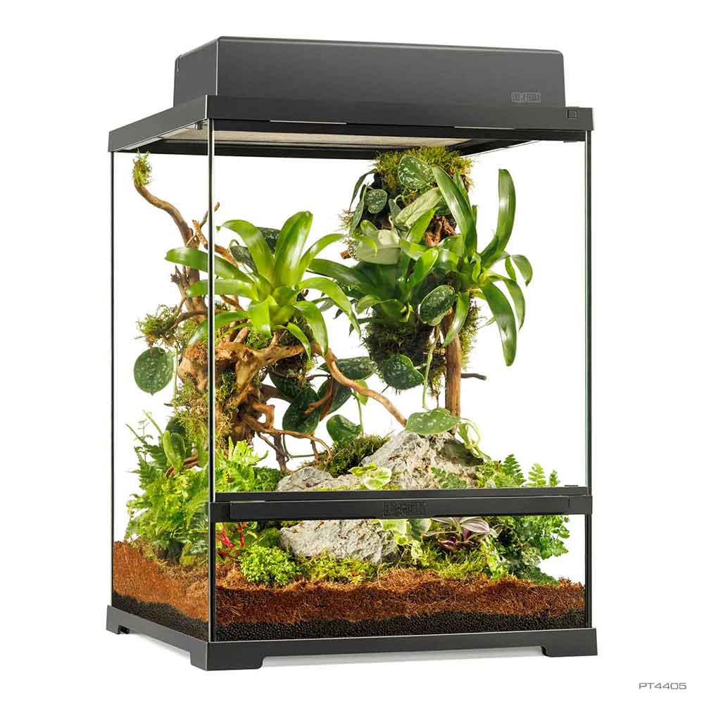 Exoterra Terrario Pro Small Tall 45x45x60h cmIUM 45X45X60