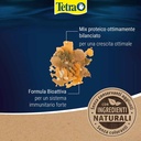 Tetra Tetramin Flakes Bioactive Mangime in scaglie 500ml 100g