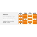 Bea Aequilibrium Kit Gestione Biologica 4x10 Caps