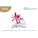 Aqua Art Bucephalandra sp. "Ulysses" in Cup Vitro