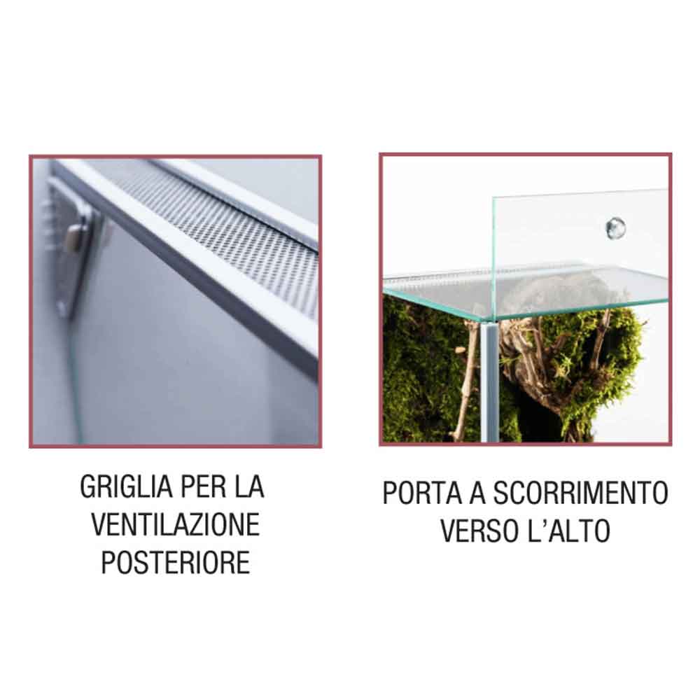 Blu Bios Terrario Paludario Spider 25x30x30h cm