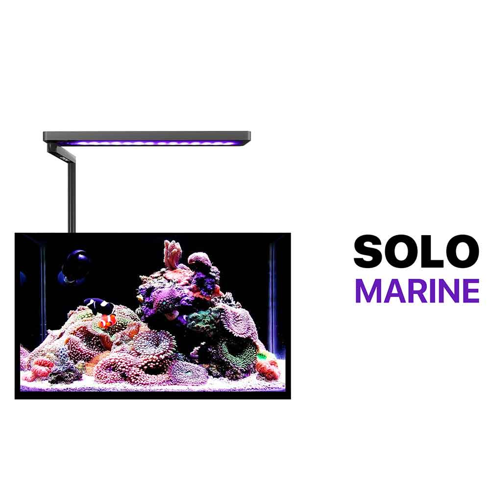 Micmol Solo 20 Marine Lampada Led 20W