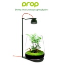 Micmol Drop Black Lampada per Mini Acquari e Paludari