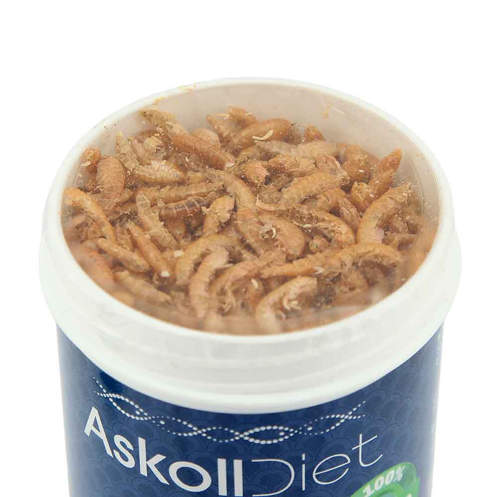 Askoll Diet Gammarus Mangime per Tartarughe d'acqua 250ml 31g
