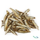 Askoll Diet Pesciolini per Tartarughe d'acqua 1200ml 150g