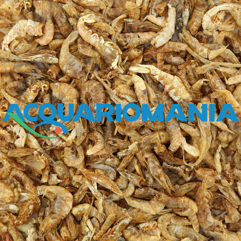 Askoll Gamberi Grandi per Tartarughe d'acqua 1200ml 150g