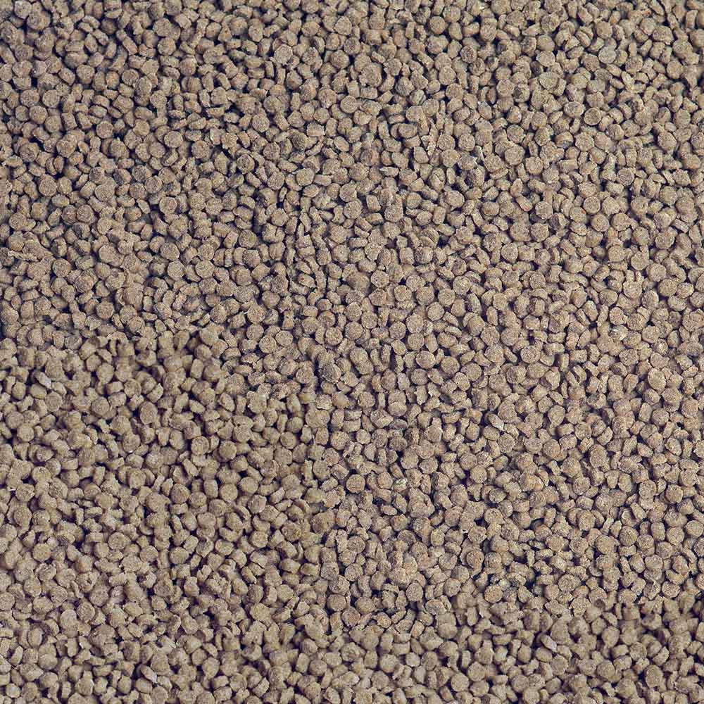 Sera Cichlid Tanganyika Gran 1000ml 565g