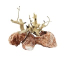 Zolux Kit Red Stone e Wood 500g