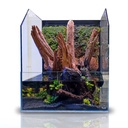 Blau Aquaristic Cubic Selva 45 Paludarium completo 45x45x20/55h cm