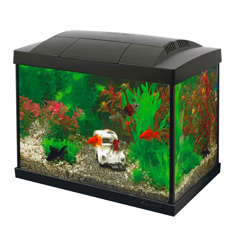 Superfish Start 20 Goldfish Kit Kit Nero Acquario 32x19x30,5cm 16 litri