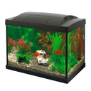 Superfish Start 20 Goldfish Kit Kit Nero Acquario 32x19x30,5cm 16 litri