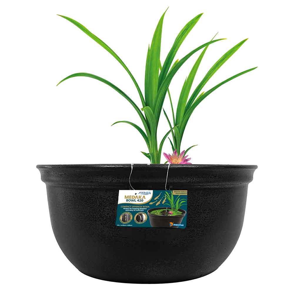 Superfish Medaka Bowl 420 Ciotola Giapponese 14 litri 42x20h cm