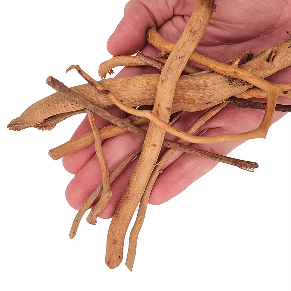 Wio Spider Twigs Root Legnetti decorativi 250g