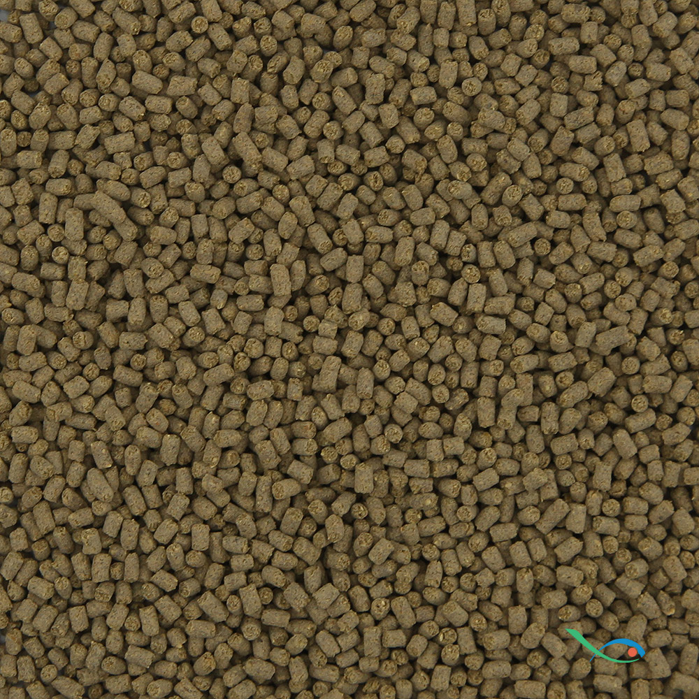 Flow Insect Pellet Natural Food 50g
