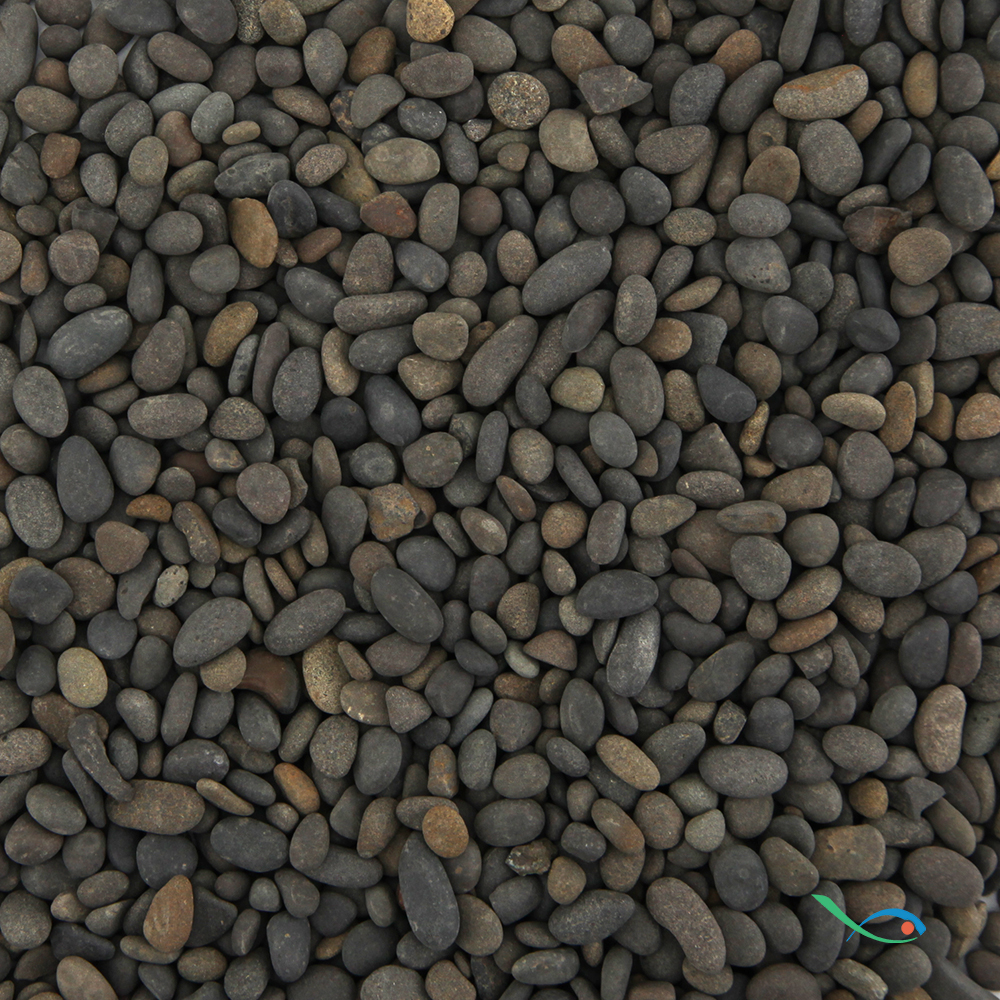BIOART GHIAIA NERA SACCO 800 GR