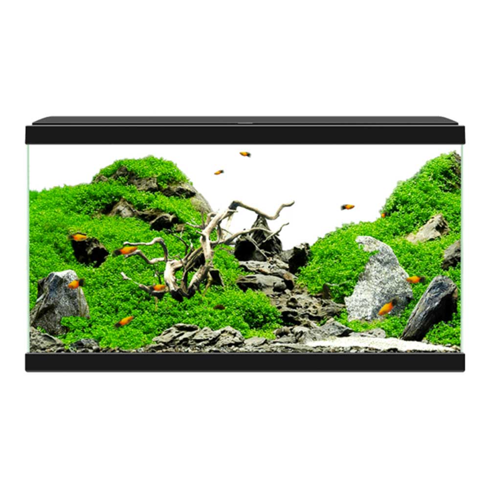 Ciano Aquarium Aquariums 60 CF80 Bianco 58 Litri