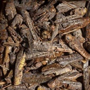 Sera Grasshopper Snack Mangime per draghi barbuti 250ml 29g
