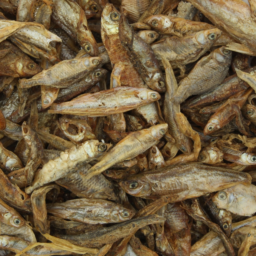 Shg Pesciolini Mangime completo per Tartarughe d'acqua 400g
