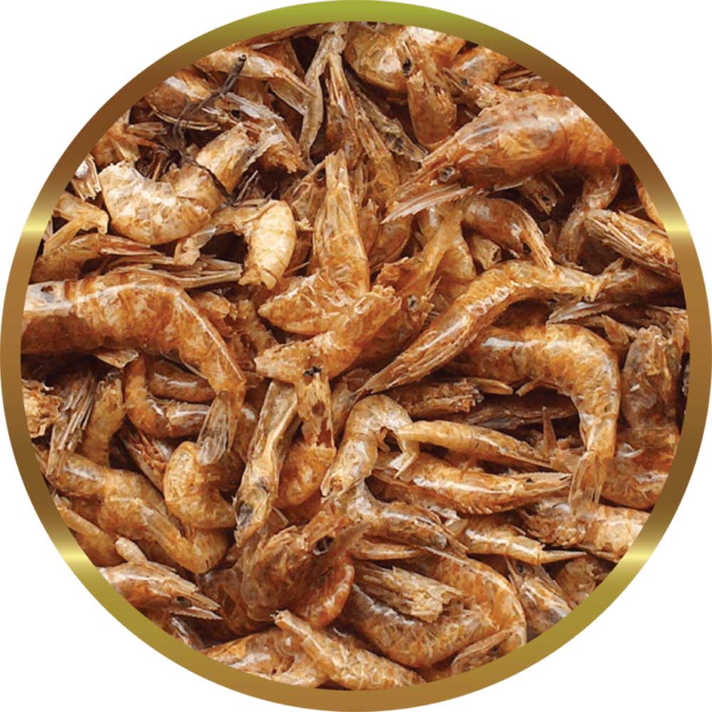 Shg Gamberetti Mangime completo per Tartarughe d'acqua 300g