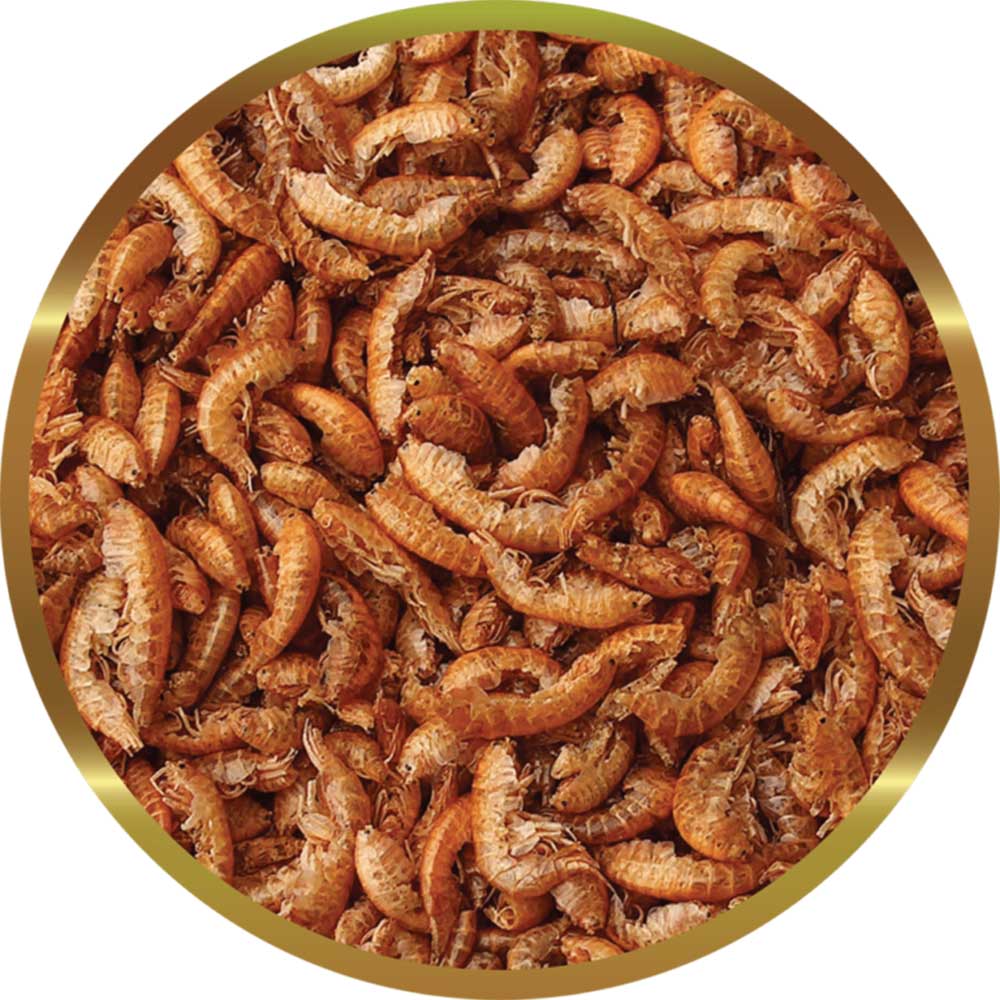 Shg Gammarus Mangime completo per Tartarughe d'acqua 250g