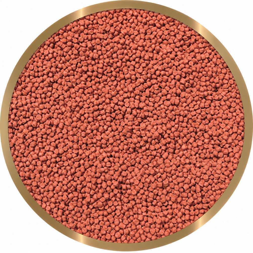 Shg Premium Micro Hi-Red Mangime granulare per dolce e marino 50g