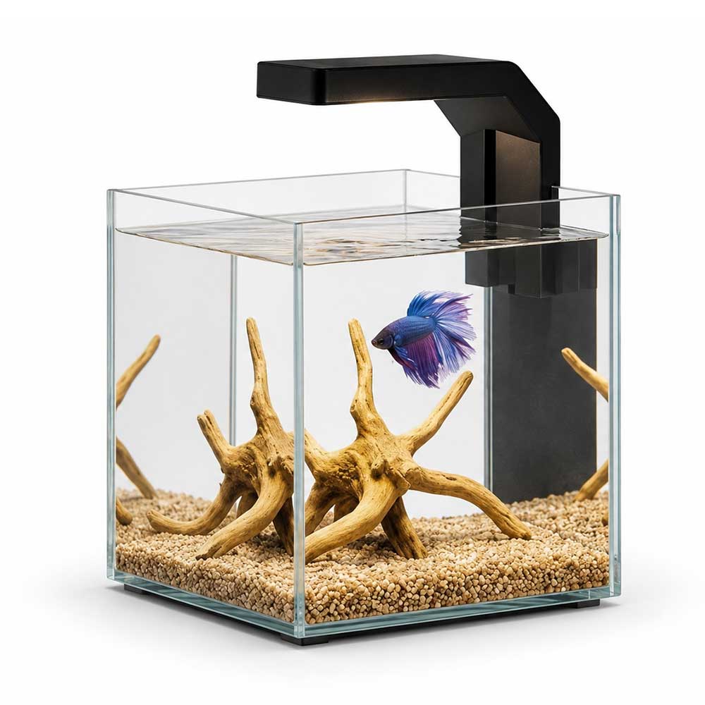Askoll Betta World Acquario per Betta 20x20x20h cm 8 litri con Led
