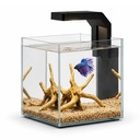 Askoll Betta World Acquario per Betta 20x20x20h cm 8 litri con Led