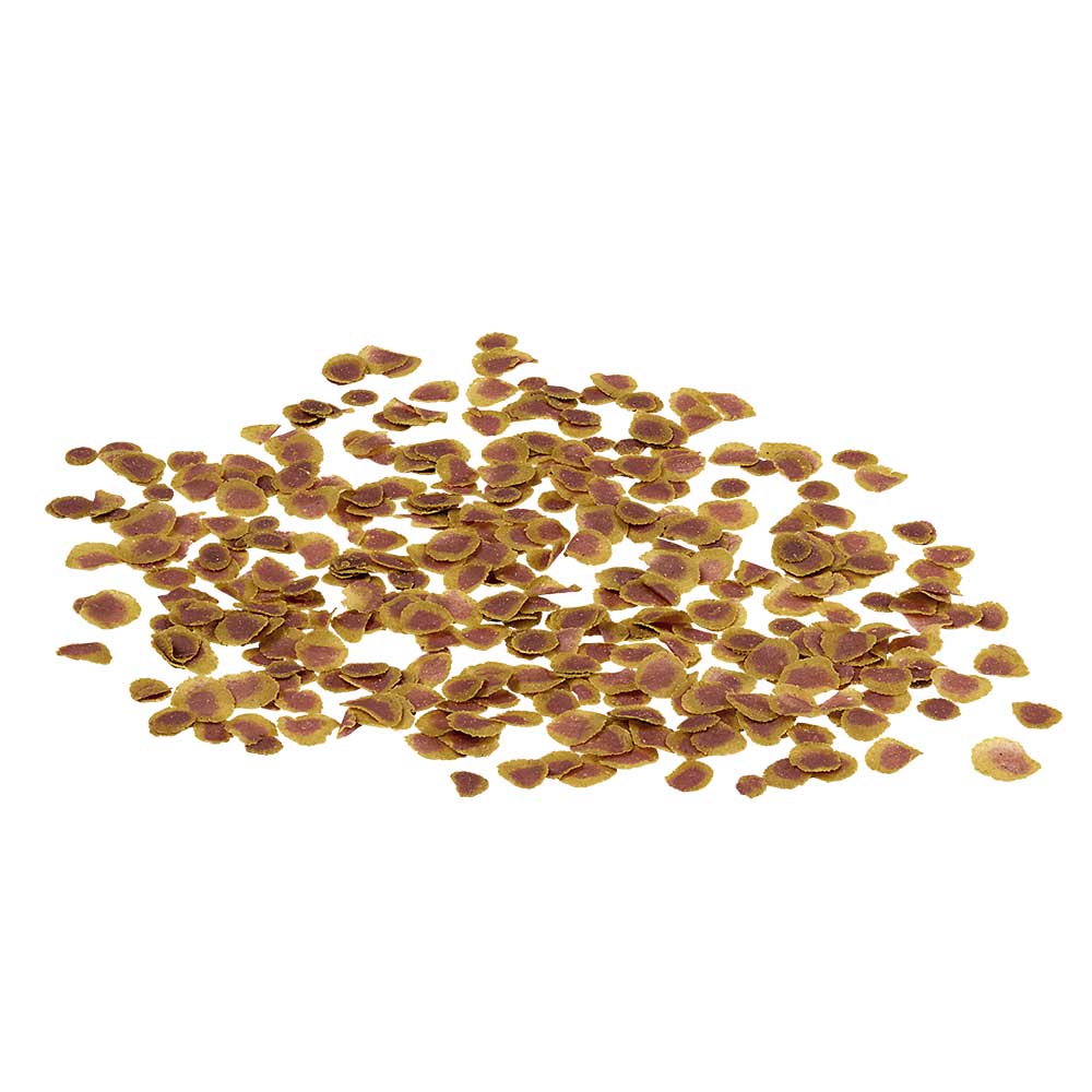 Tetra Pro Colour Natural 300ml Chips con Prebiotici 66gr