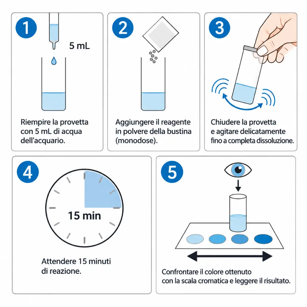 istruzioni ammoniaca.webp