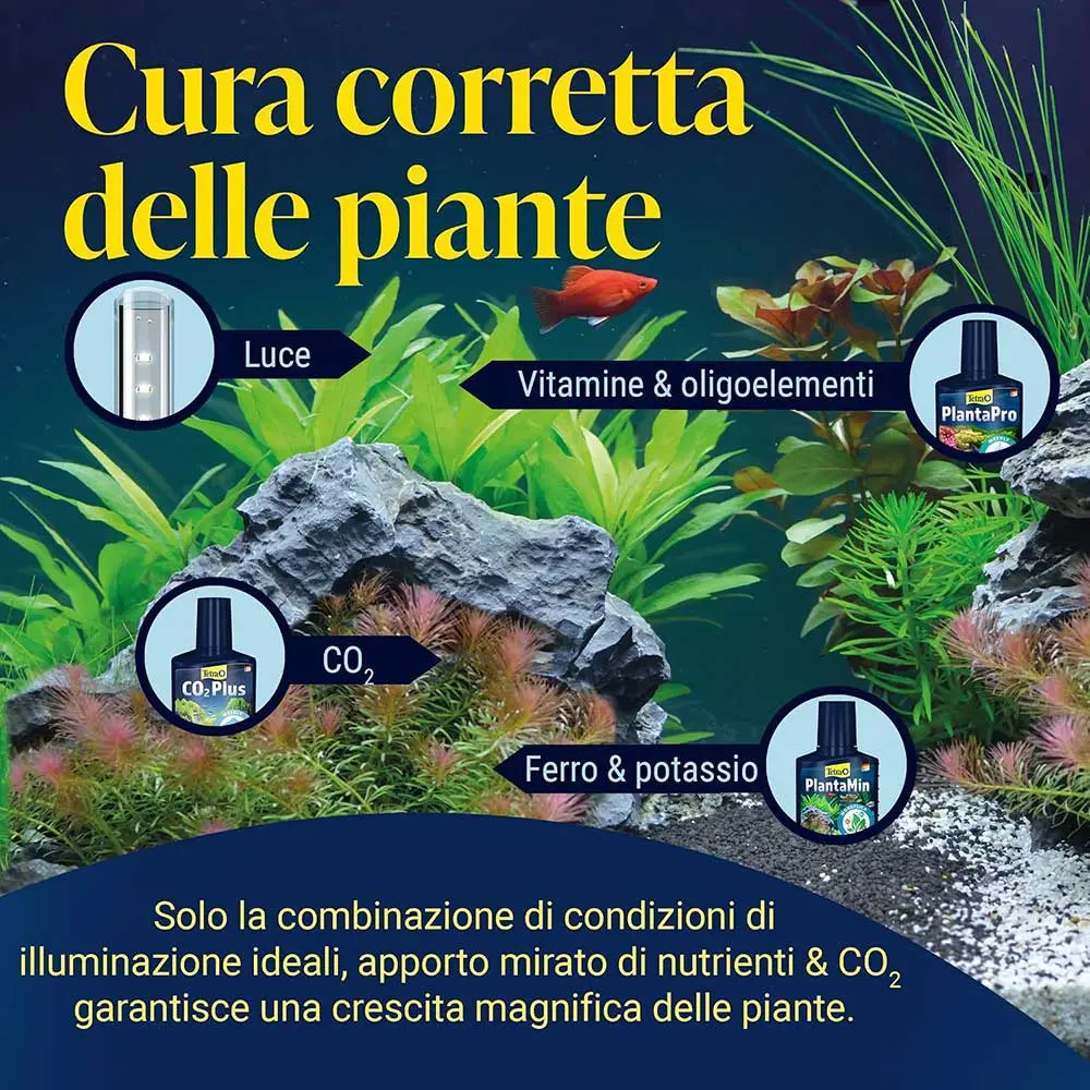tetra-co2-plus-250ml-dettaglio-2.webp