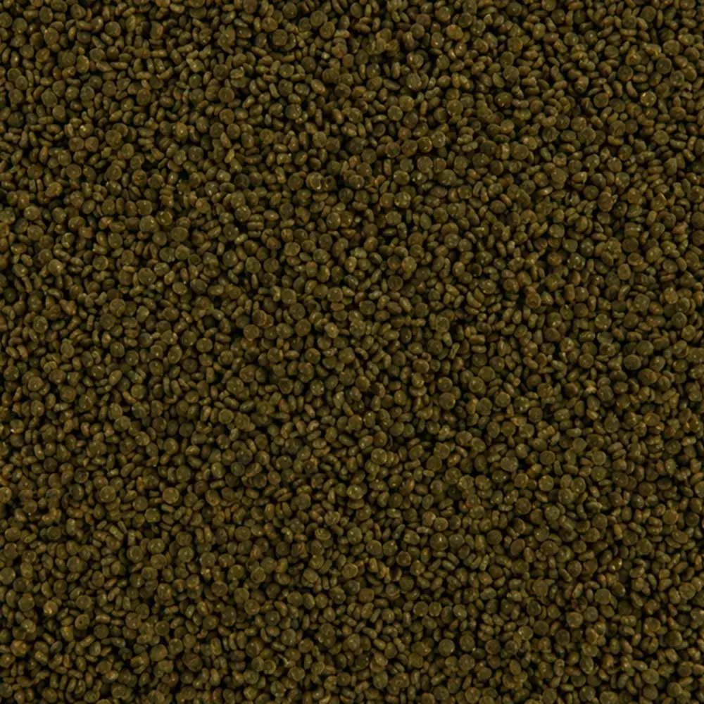 blue-line-vegetal-grains-dettaglio.webp