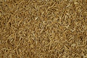 Tetra Anchovies Acciughe per Tartarughe d'acqua 250ml 35gr